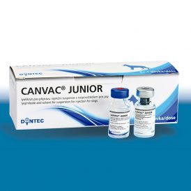 Canvac Junior